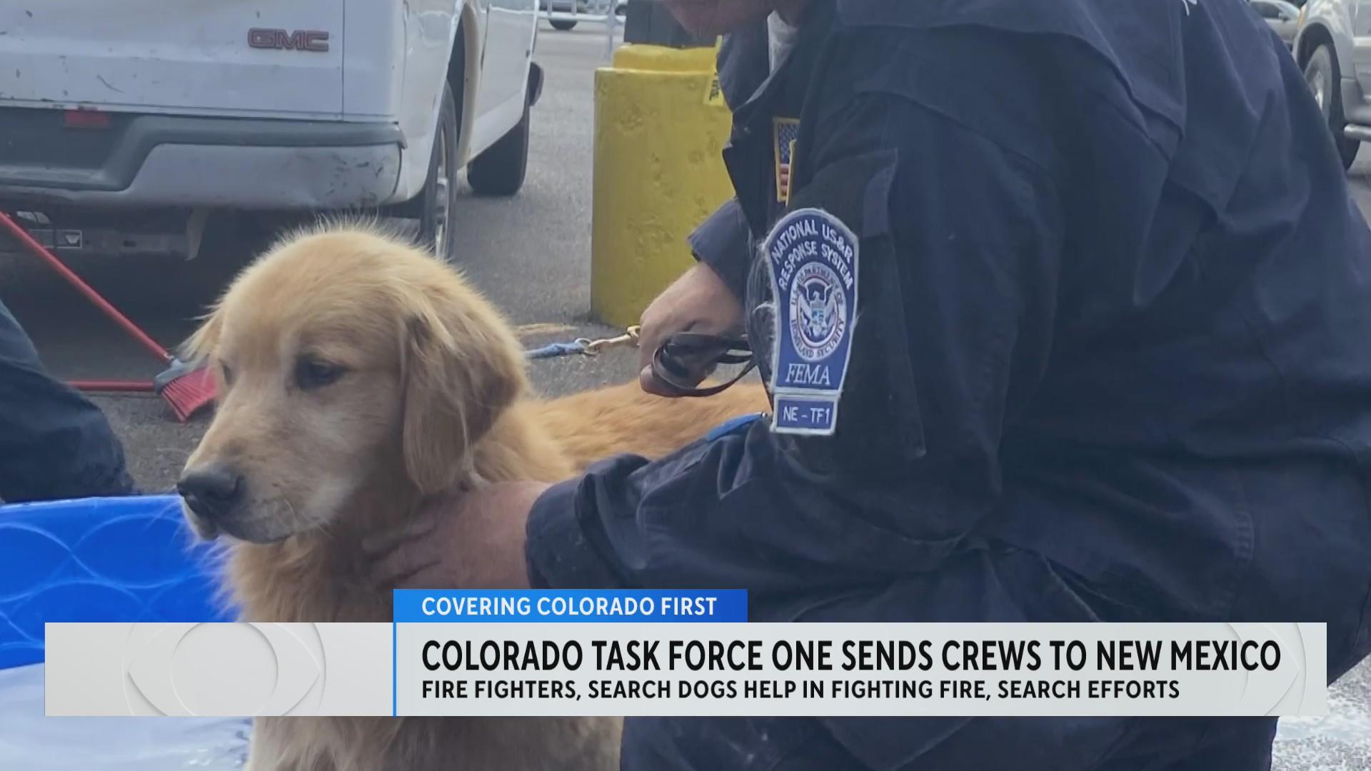 Firefighters and K-9s from Colorado help battle New Mexico wildfires ...