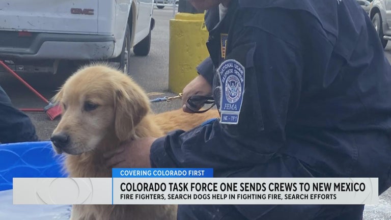 Firefighters and K-9s from Colorado help battle New Mexico wildfires ...