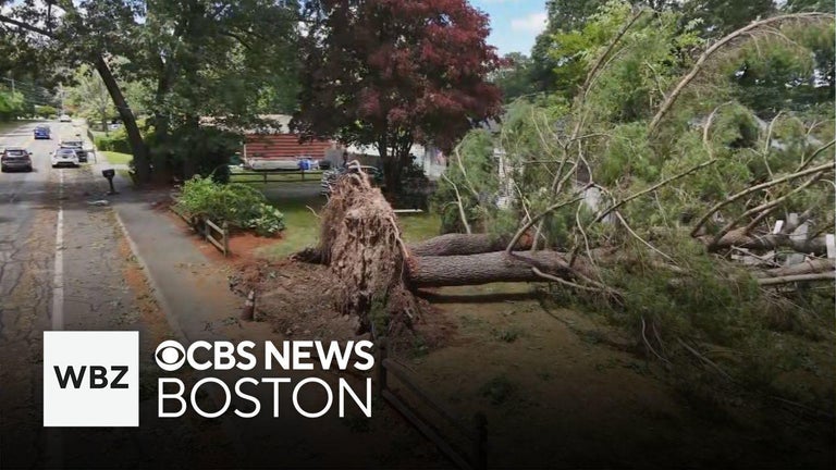 Tornado touched down in Massachusetts and Rhode Island, National ...