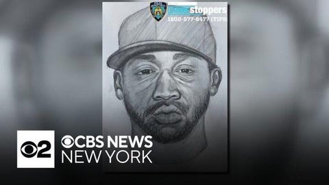 Person of interest in custody in Central Park sex assault, police say
