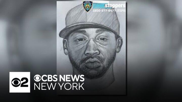 Person of interest in custody in Central Park sex assault, police say ...