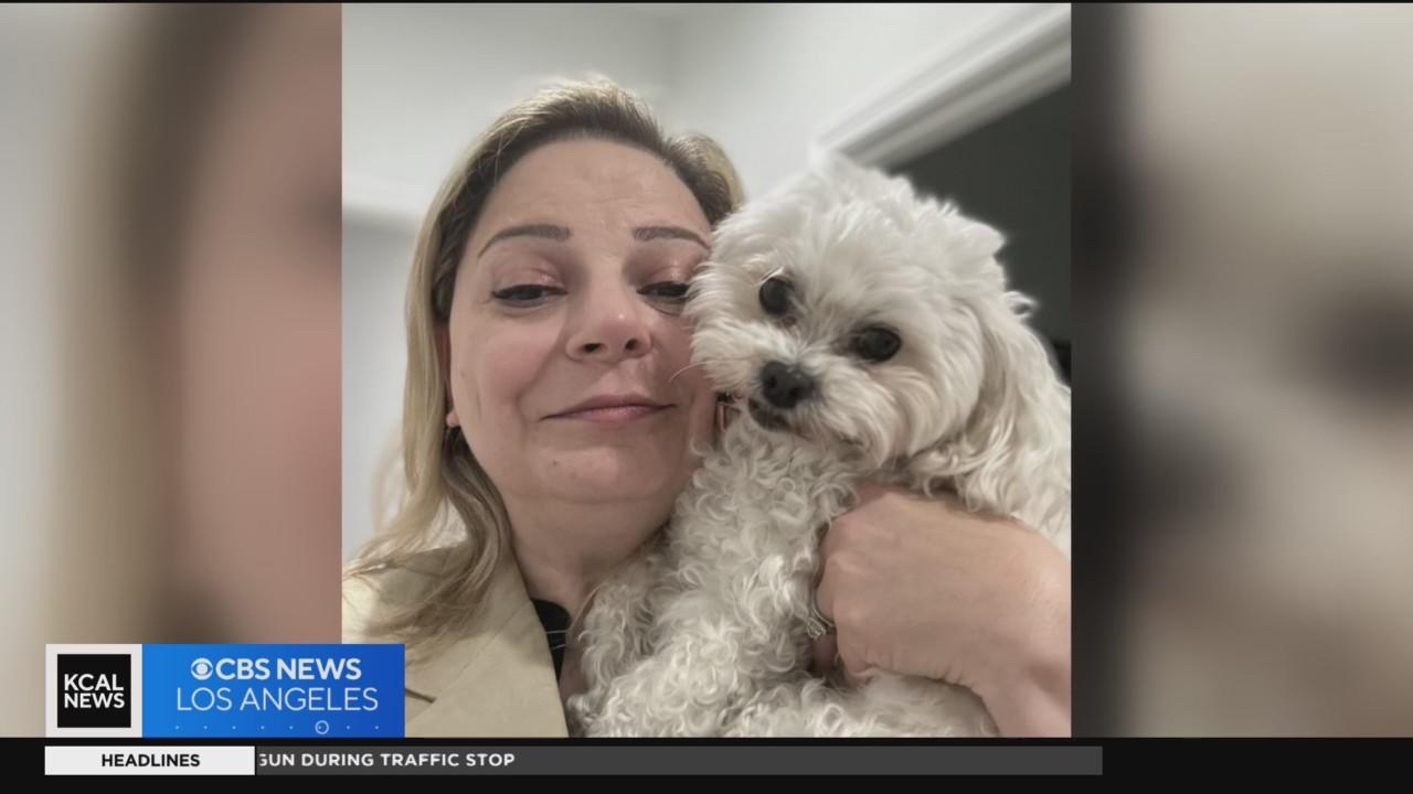 North Hills woman outraged after dog dies following tragic delivery