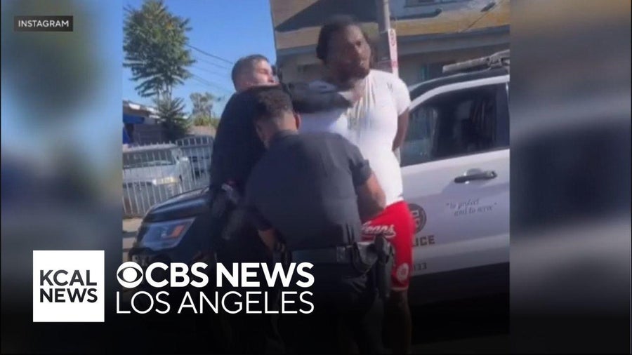 LAPD officer suddenly punches man under arrest during traffic stop
