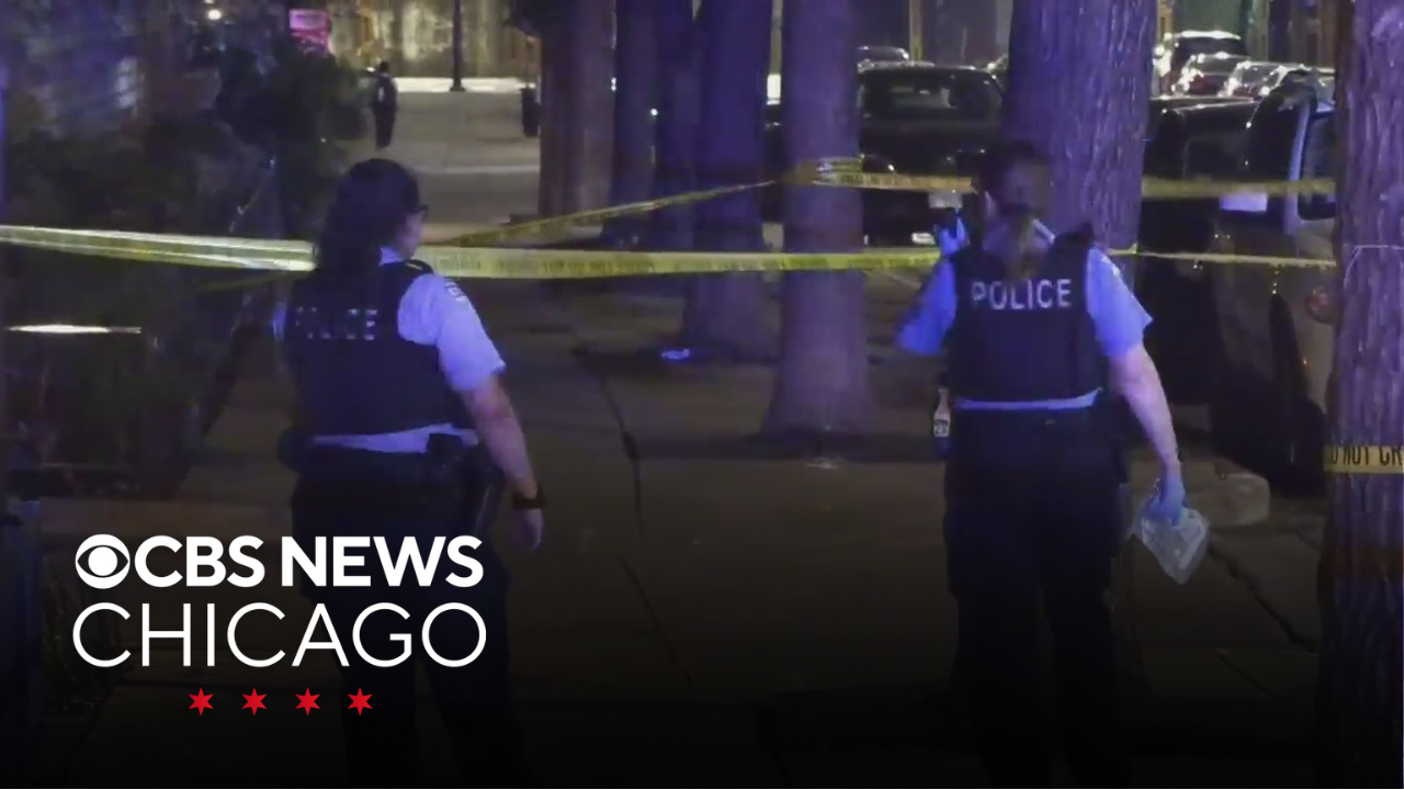Man shot during attempted robbery in Chicago's West Loop, police say ...