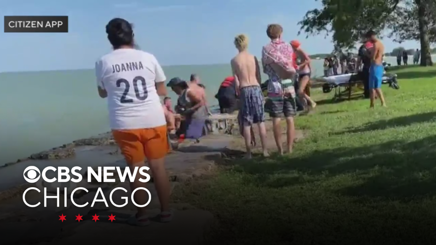 Child hospitalized after being pulled from Lake Michigan in Chicago ...