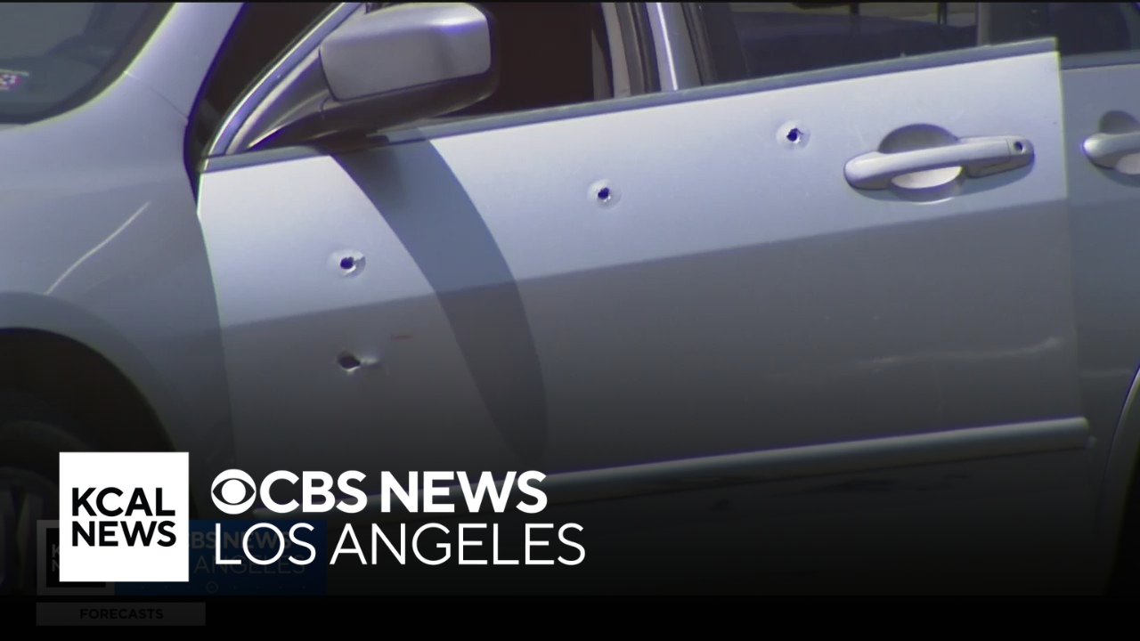 Man found shot to death inside of car riddled with bullet holes in ...