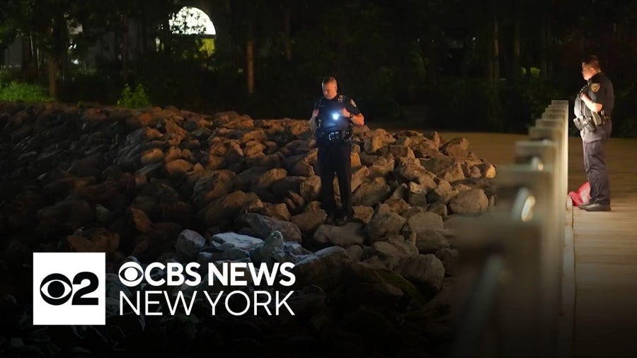 Apparent human remains found in Brooklyn Bridge Park - CBS New York