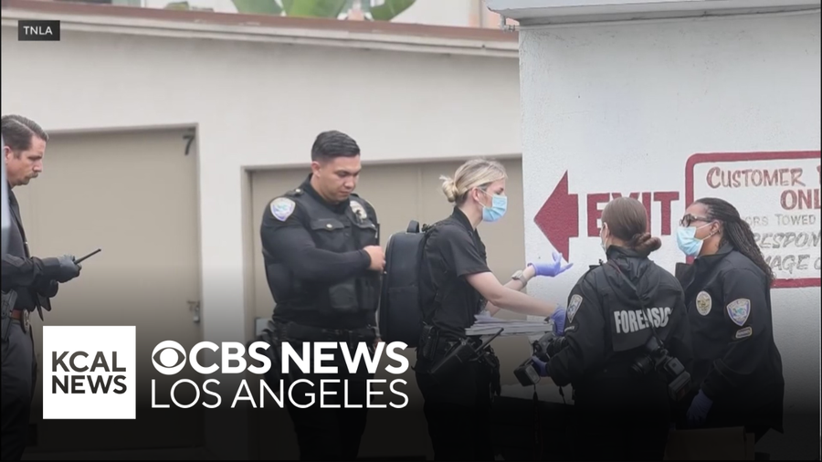 Santa Monica woman arrested allegedly trying to kidnap 8-year-old girl ...