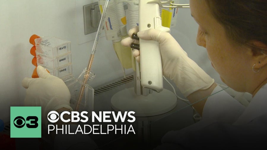 Experts warn of an alarming trend of new cancer cases among young