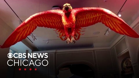 Harry Potter Shop to open on Chicago's Magnificent Mile in spring 2025