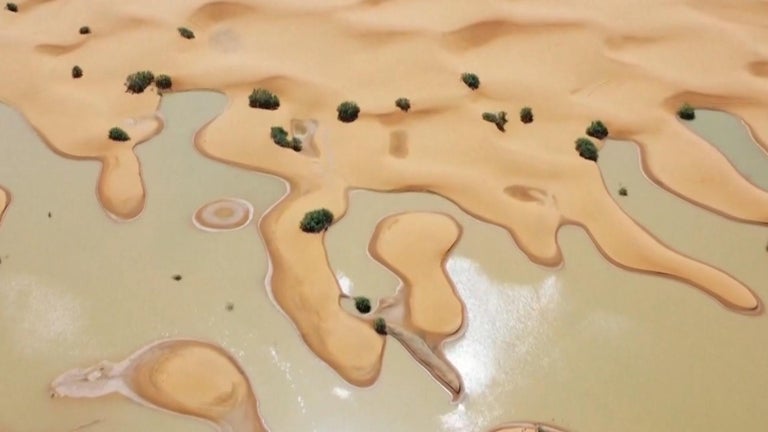 Rare deluge floods parts of the Sahara desert for the first time in ...