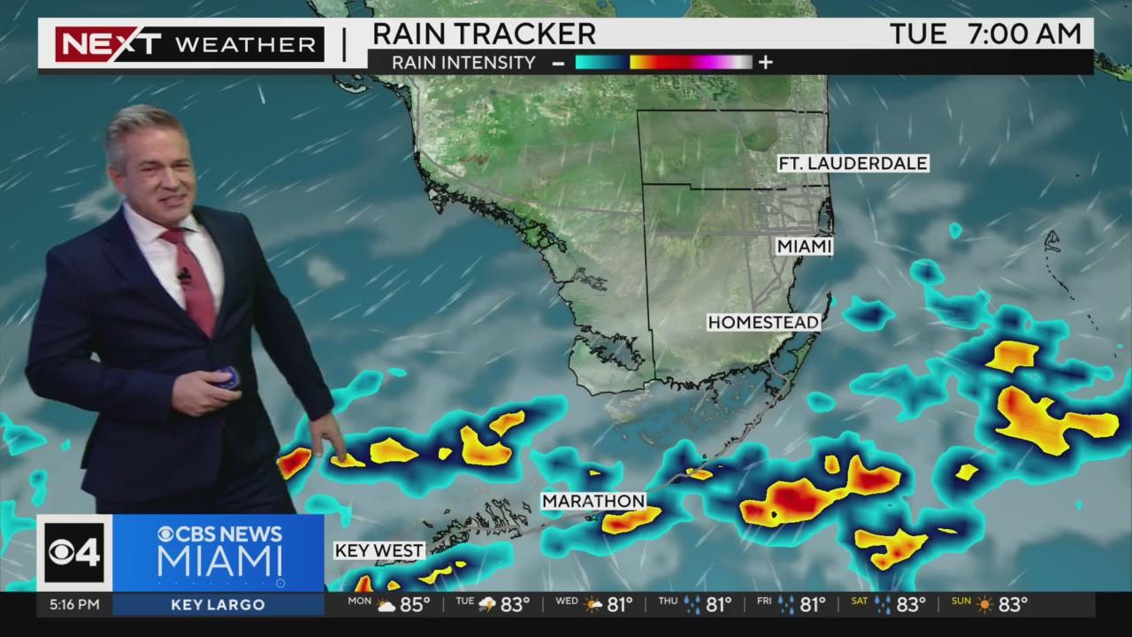 Weather in South Florida will turn cooler, drier this week - CBS Miami