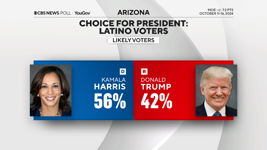 Latino-Vote.png 