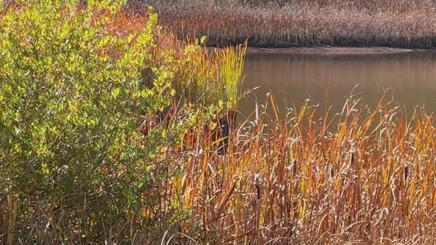 Perry Park neighbors concerned over high radium levels in their ...