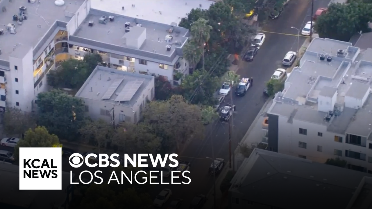 Police investigating deadly stabbing in Hollywood - CBS Los Angeles