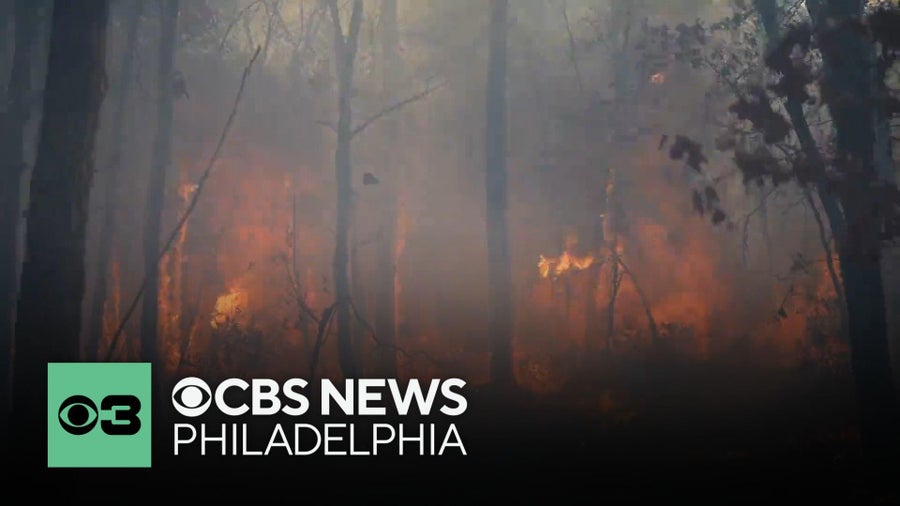 Man charged with arson in connection with New Jersey wildfire that ...