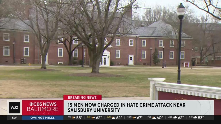 15 people charged in alleged hate crime attack near Salisbury ...