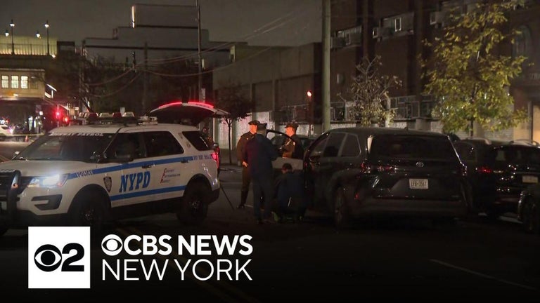 Woman struck by unmarked police van, killed in Brooklyn, police sources ...