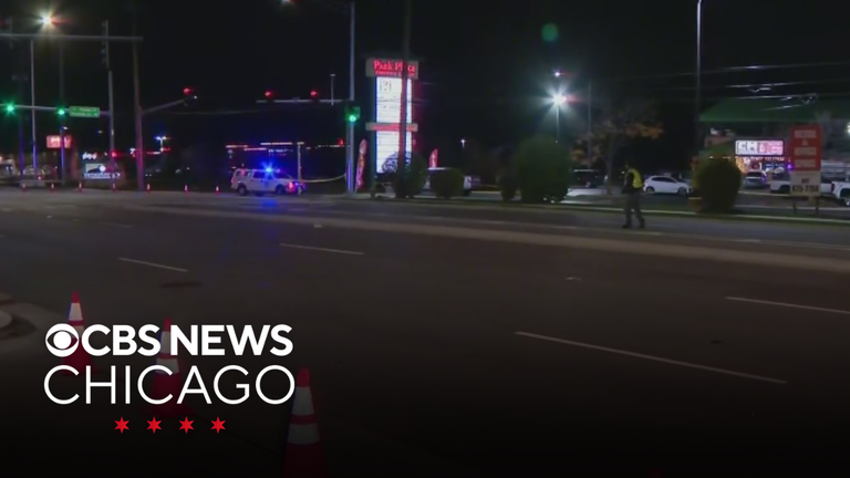 12-year-old girl hit, killed by vehicle in Chicago's northwest suburbs ...