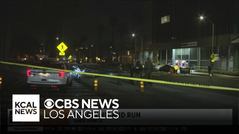 Police seek suspect in deadly Santa Monica hit-and-run, killing woman ...