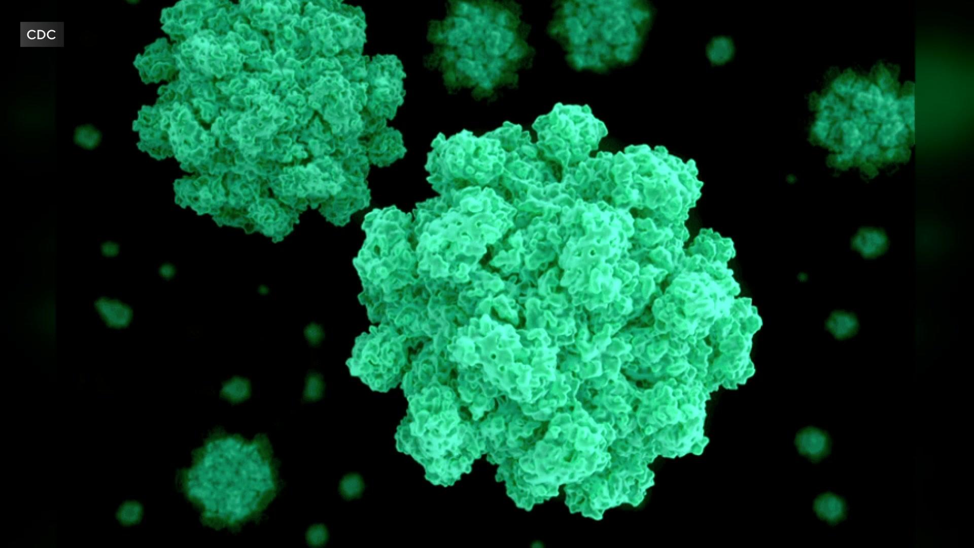 5p-pkg-norovirus-spike-wcco6tia.jpg 