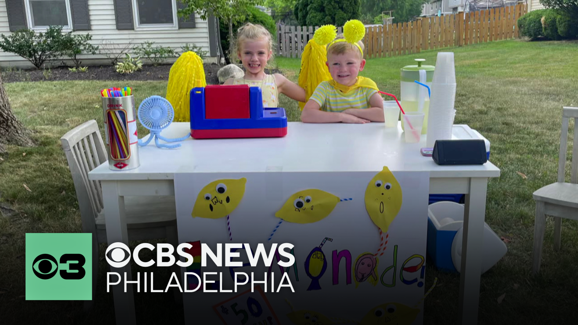 Family shares son's story of hope ahead of 19th annual Alex's Lemonade ...