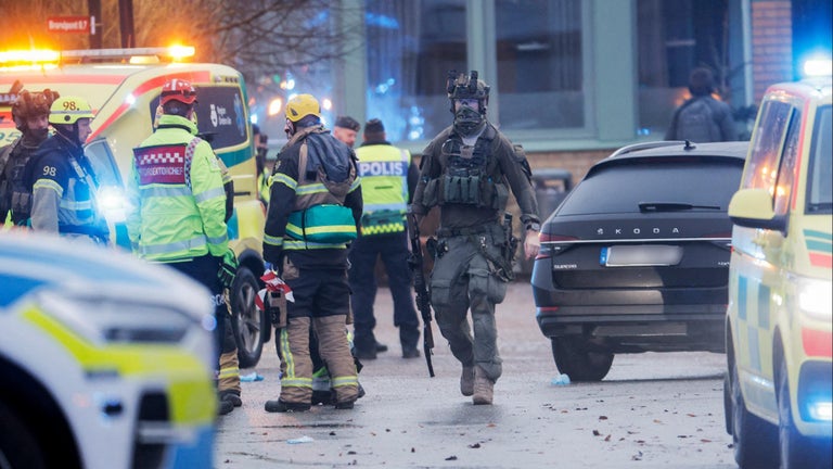 One of Sweden's most wanted criminals is arrested 1,600 miles away ...