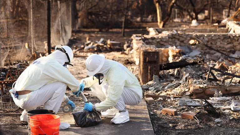EPA rushes to meet Trump's deadline to clear toxic debris from Los ...