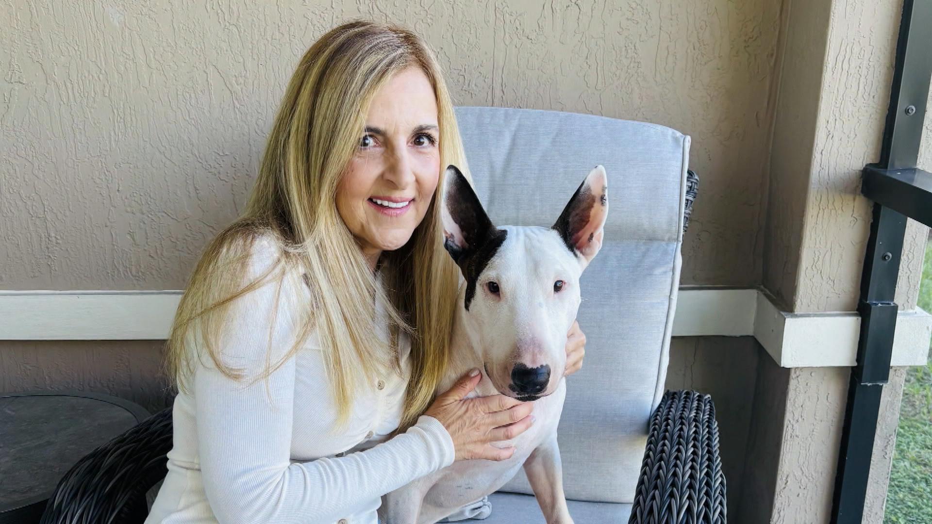 Dog abandoned during Hurricane Milton beats cancer and other health