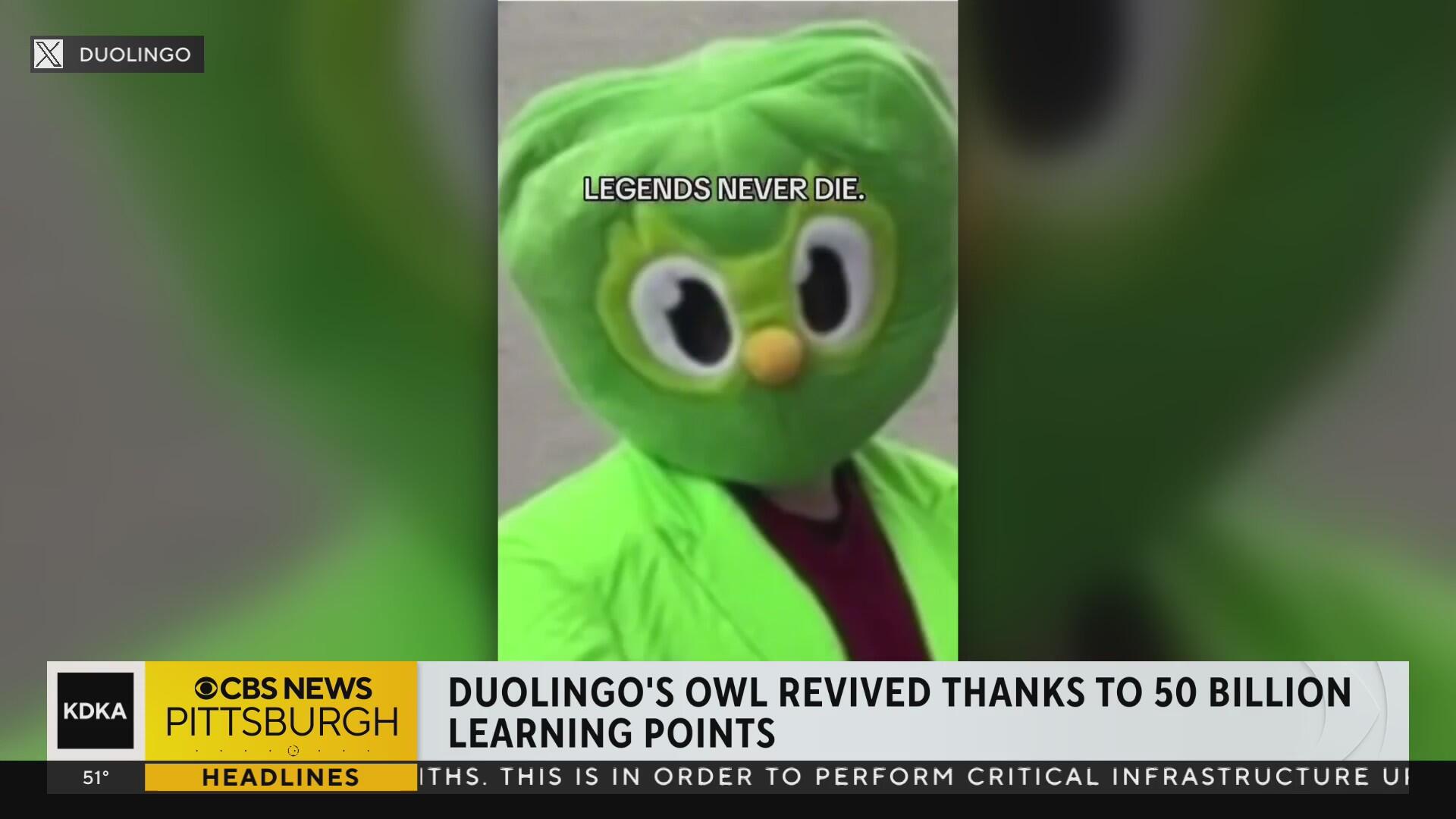 Duo The Owl Mascot Revived Duolingo Declares legends Never Die Duo The Owl Mascot Revived Duolingo Declares legends Never Die