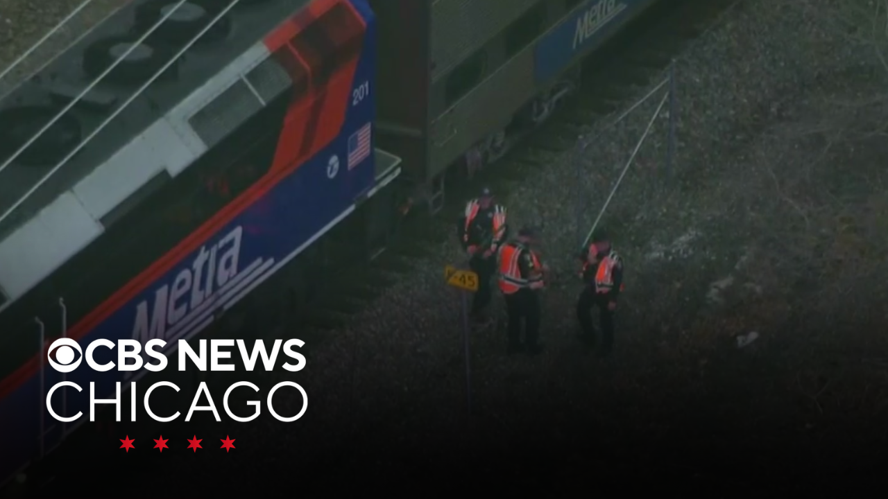 Metra trains halted in Chicago's west suburbs after train hits, kills ...