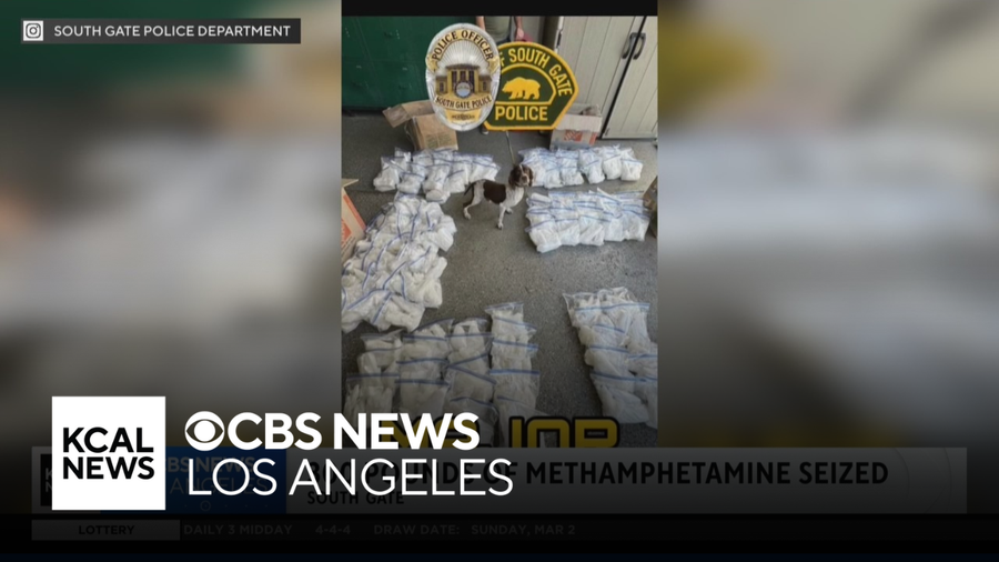 K9 helps police locate, seize 300 pounds of meth in South Gate - CBS ...