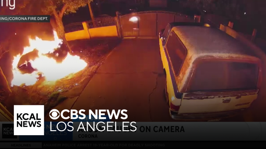 Video shows alleged arsonist catching fire while setting car ablaze in ...