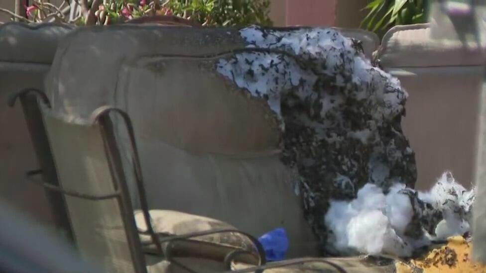 Teen girl fighting for her life after Molotov cocktail thrown into ...
