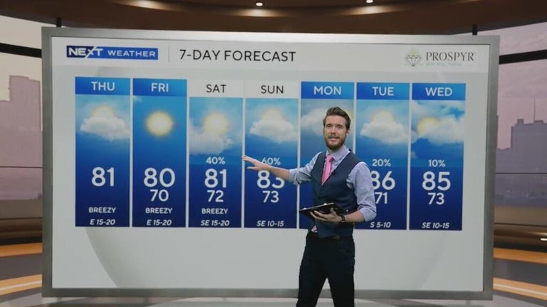 Warm and breezy across South Florida - CBS Miami