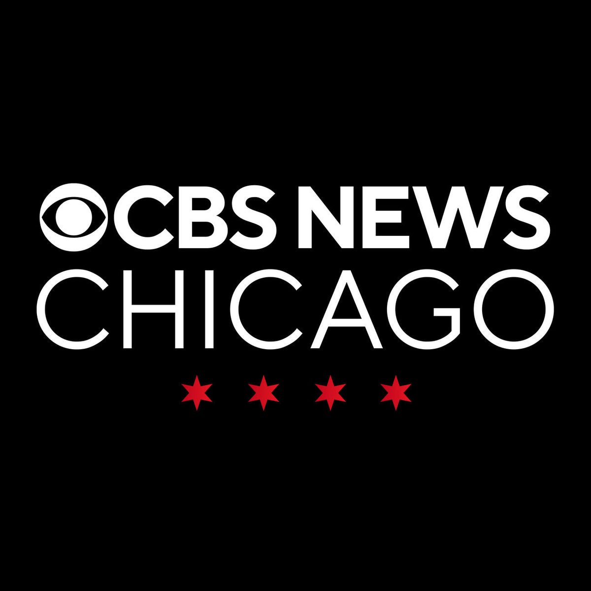 Chicago man faces arson, hate crime charges after cross burning in Grant Park