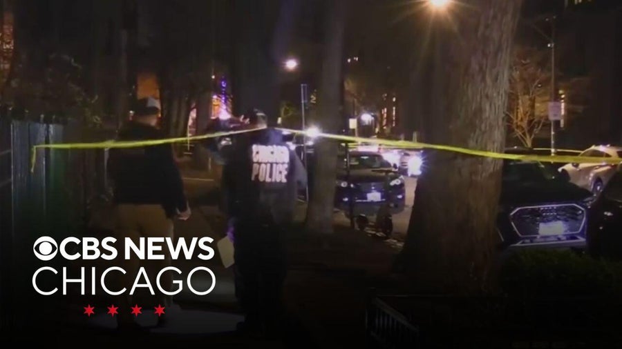 Neighbors rushed to help man who was shot in Chicago's Lincoln Park ...