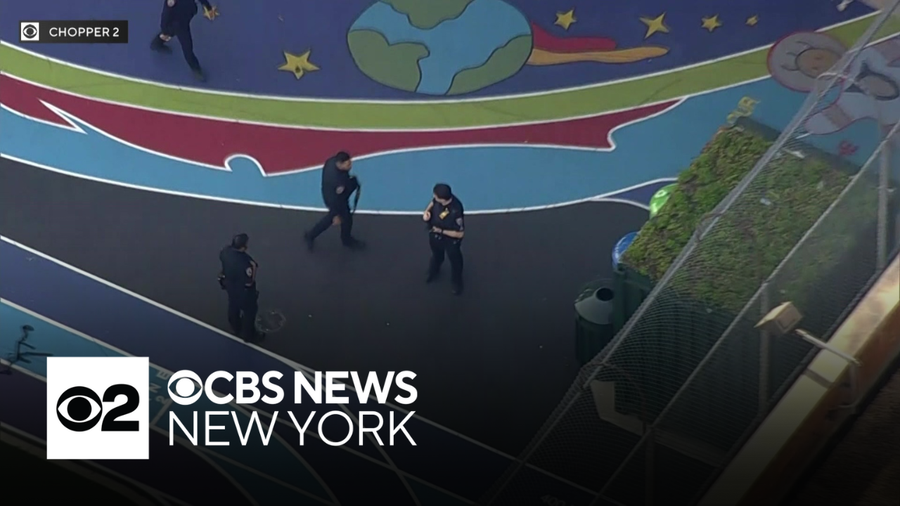 16-year-old Bronx girl shot to death after brawl on school playground ...