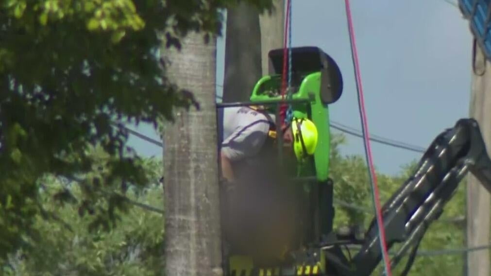 Man dies after being electrocuted while pruning palm tree near Tamiami