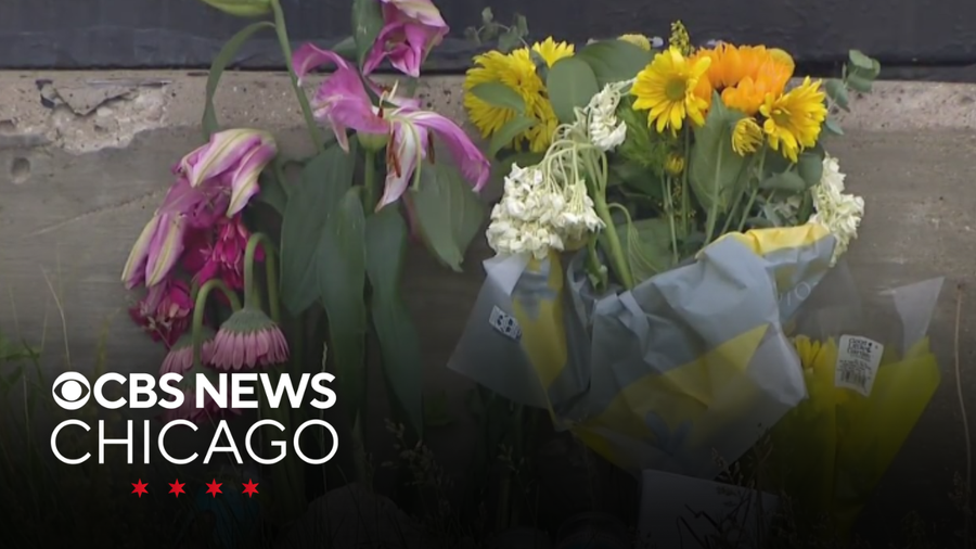 Family demands justice after woman, 84, was hit, killed in wreck on ...