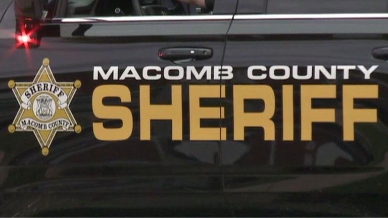 Gambling machines, cash, vehicles seized in Macomb County investigation ...
