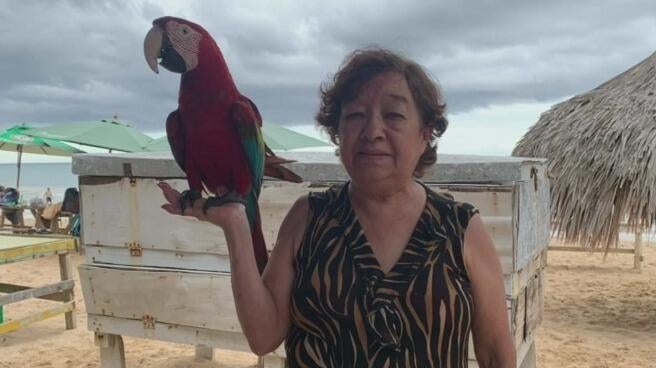 Family Pleads For Answers After Miami Grandma Killed In Hit and run family-pleads-for-answers-after-miami-grandma-killed-in-hit-and-run