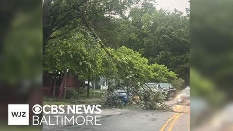 Damaging Maryland storms knock out power, take down trees and power ...