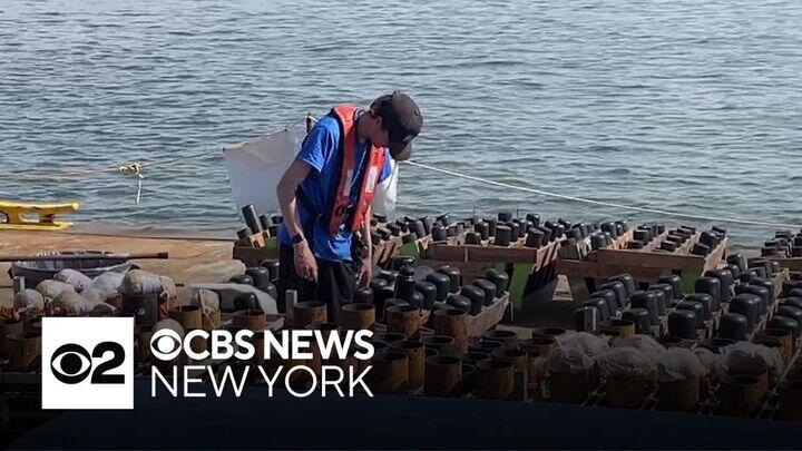 how to watch 4th july fireworks new york