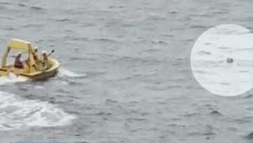 Girl who fell off Disney cruise "was not being held" by father at time