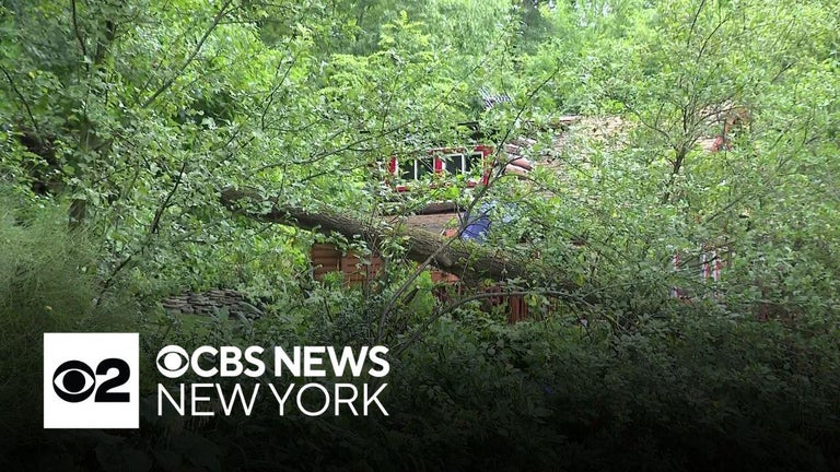 Tornado warning canceled in New Jersey as severe storms cause damage ...