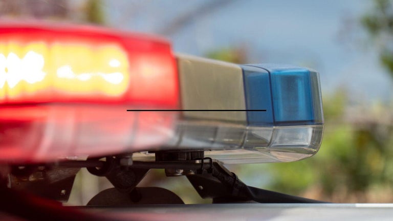 One in custody police seeking tips after fatal shooting in Ypsilanti