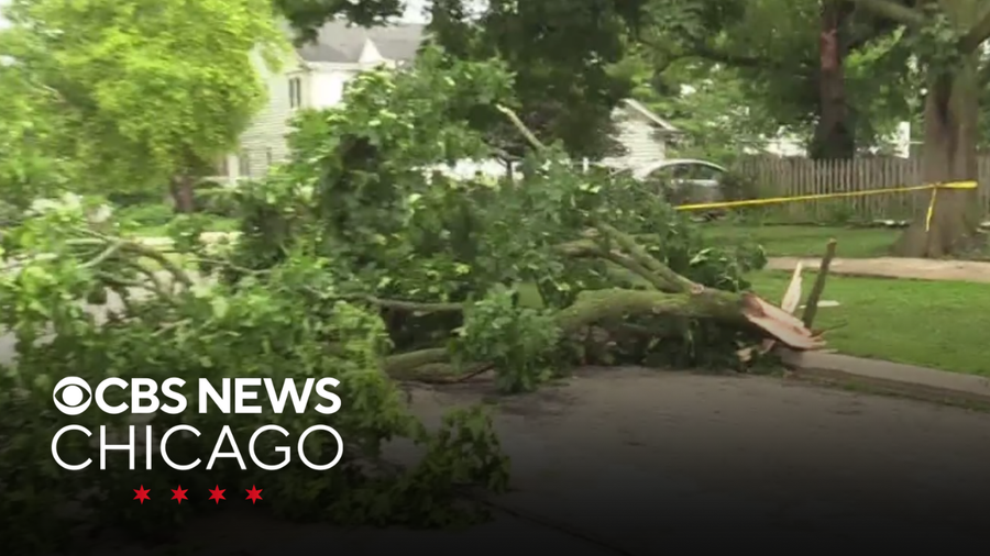 Severe storms in Chicago leave downed trees, power outages, airport ...
