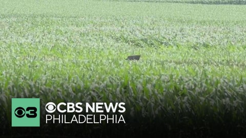 Man killed after small plane crashes near Lancaster Airport, officials