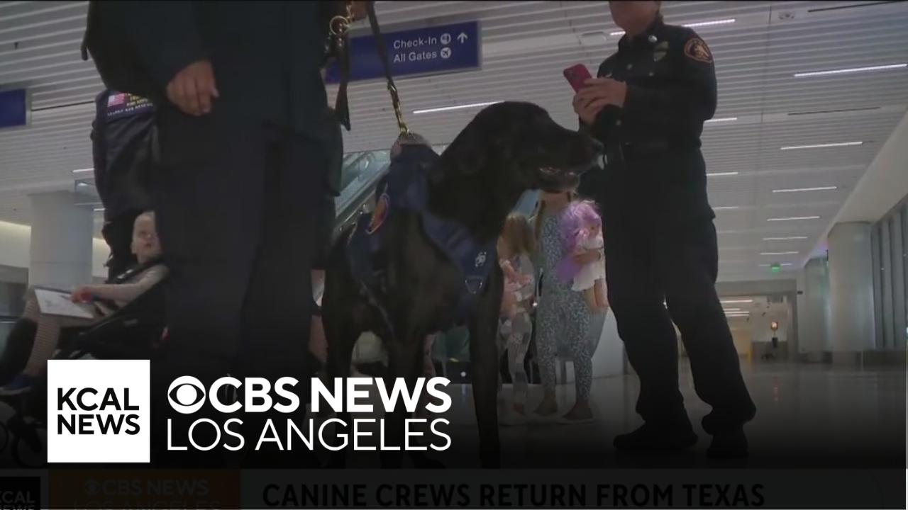 Los Angeles County canine rescue teams return after aiding Texas flood ...
